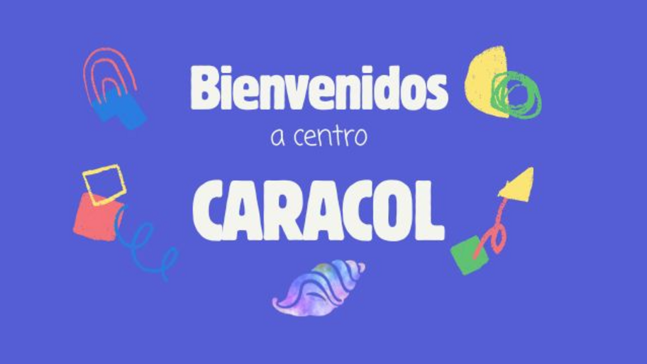 Centro Caracol banner