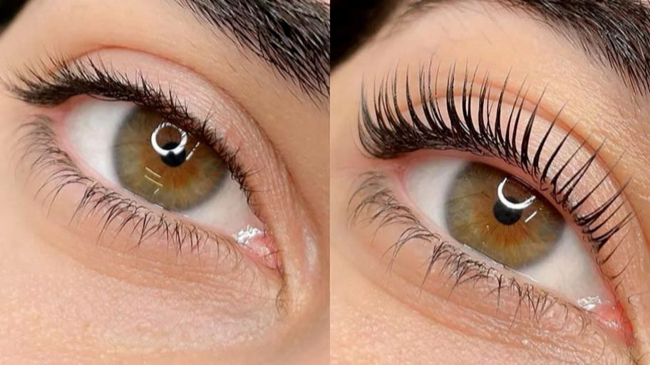 Cara Bella Cejas y Pestañas interior