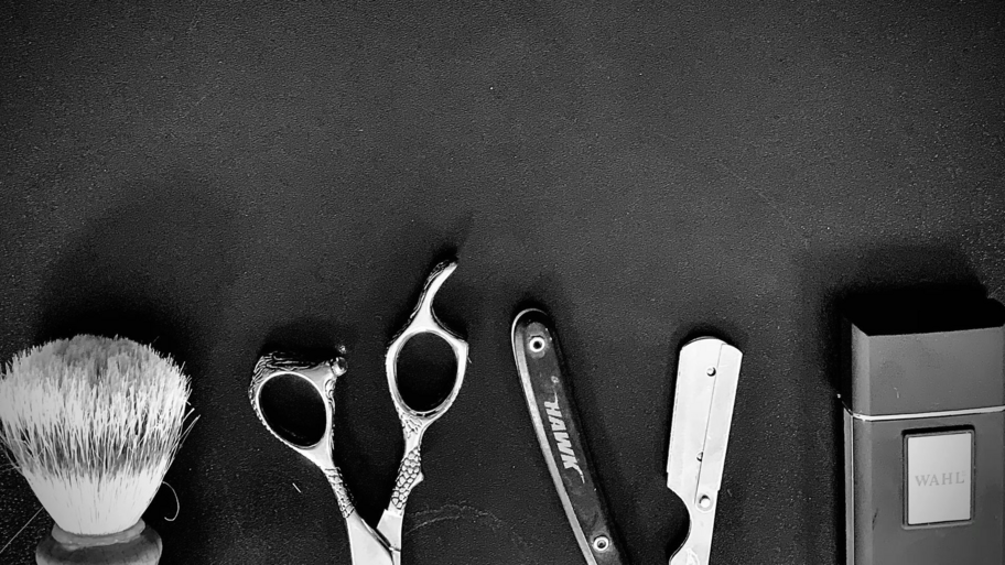 STUDIO CAVALIERS  banner