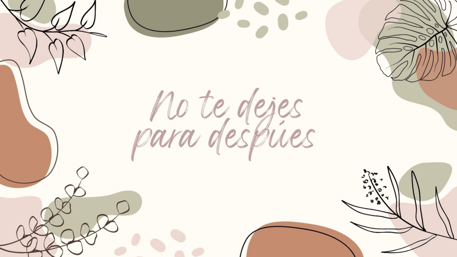 Lena Studio interior