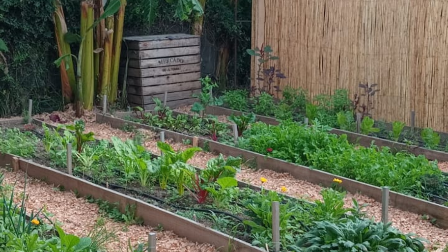 Fascino Spa Organico banner