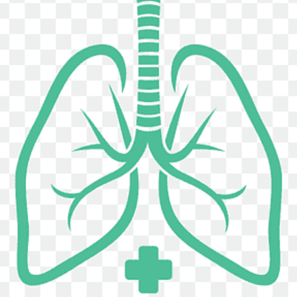 Broncopulmonar, Doris Piña Úbeda 