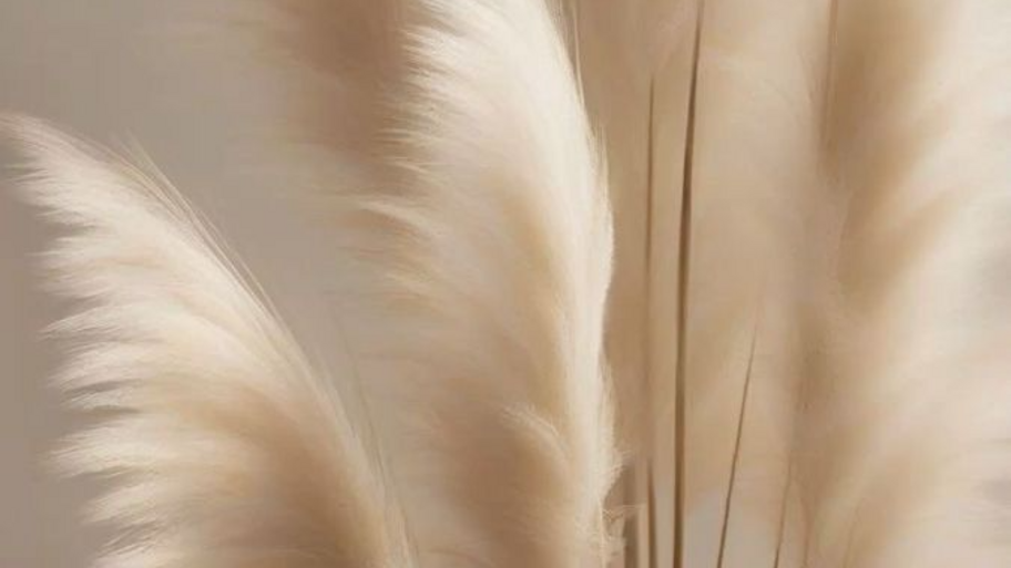 Barby Mística - Yoga Studio interior