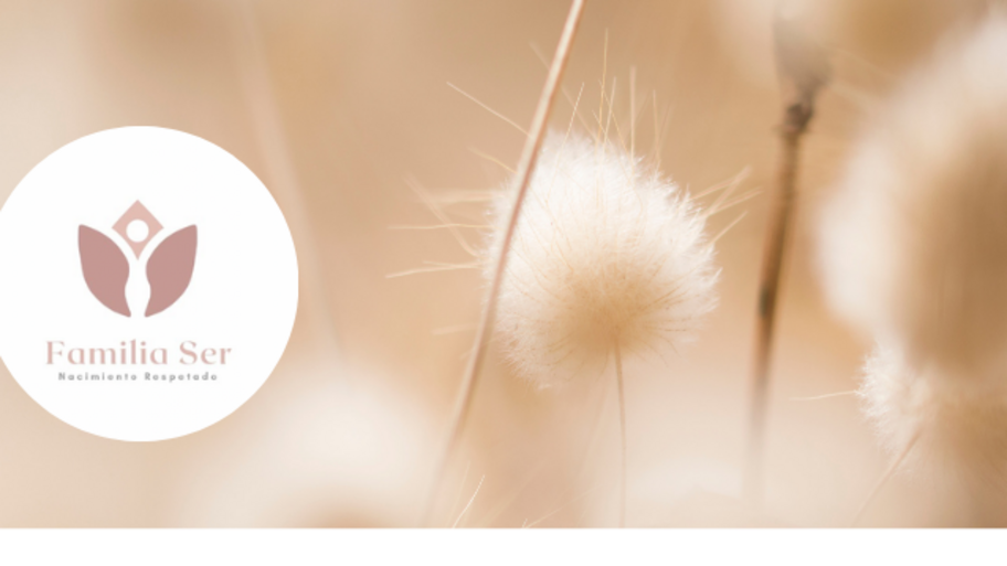 FAMILIA SER  banner