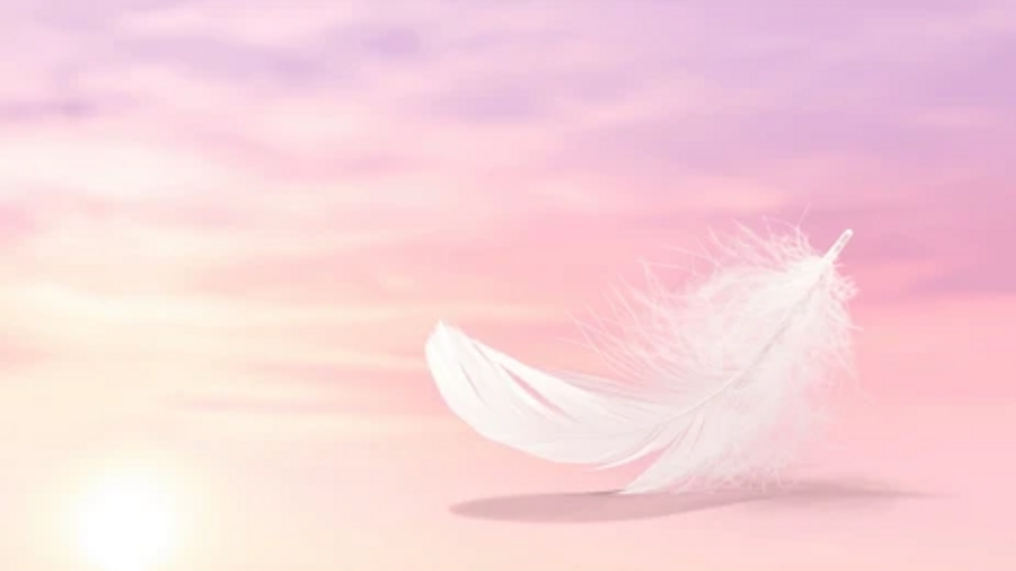 𝑀𝑎𝑠𝑜𝑡𝑒𝑟𝑎𝑝𝑖𝑎 𝐶𝑎𝑙𝑚𝑎 banner