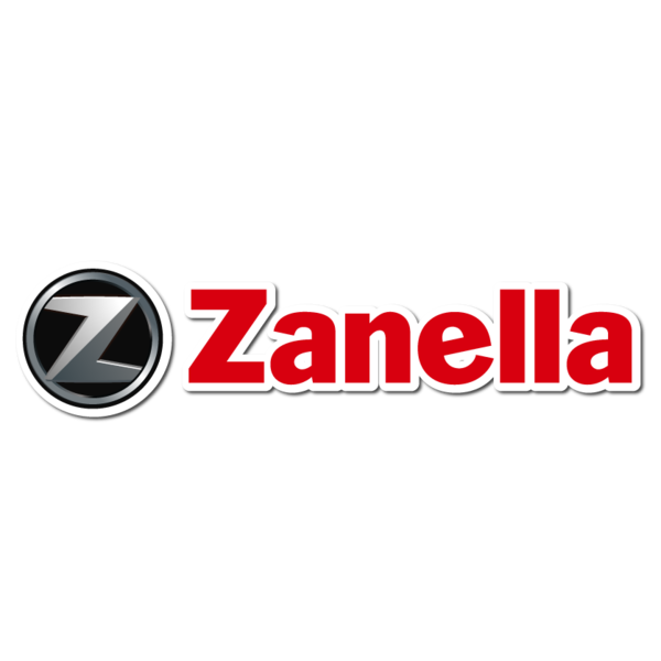 SERVICE 110cc Hasta 149cc