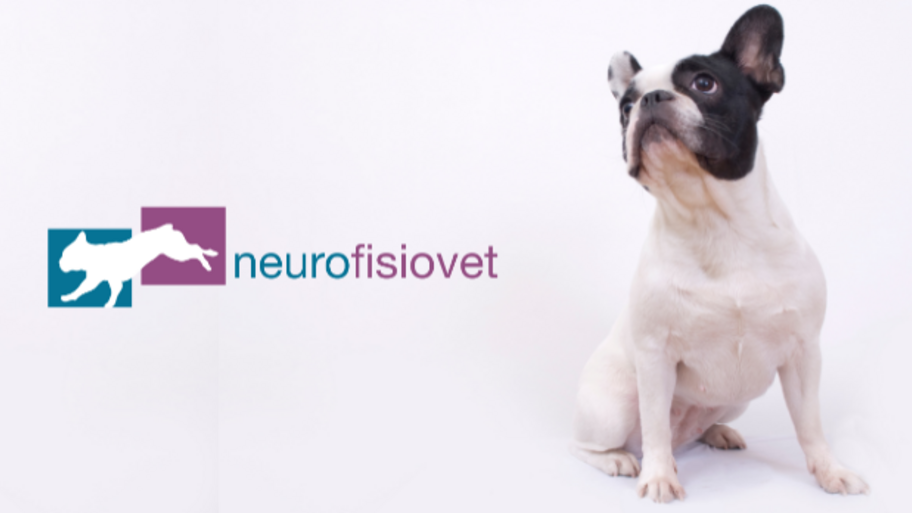  Neurofisiovet banner