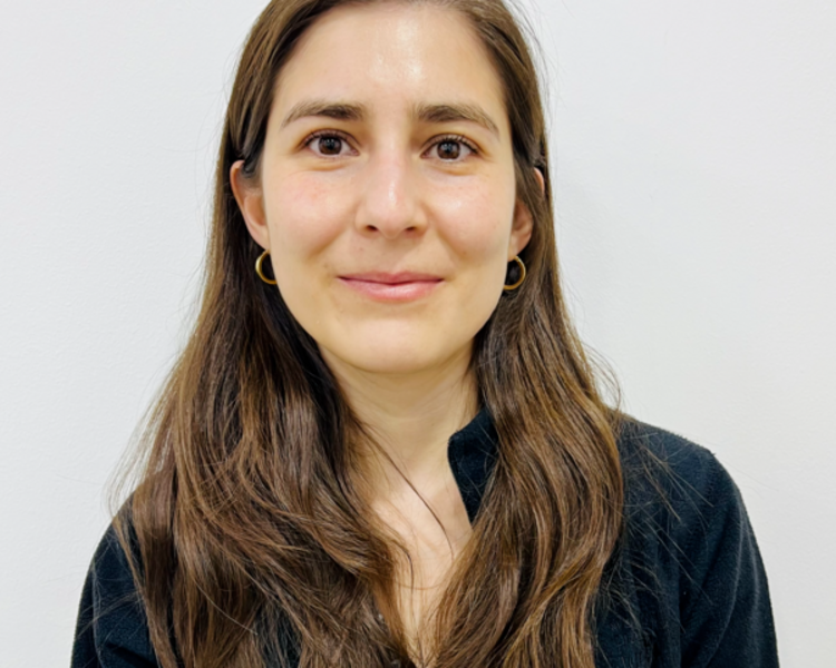 Sesión de Fonoaudiología Telemedicina. Constanza Mella Arellano .Rut  18.283.525-0 RP 396918