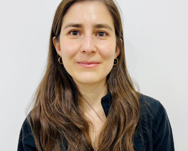 Sesión de Fonoaudiología. Constanza Mella Arellano .Rut  18.283.525-0 RP 396918