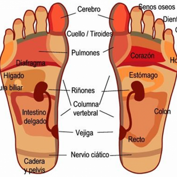 Reflexologia
