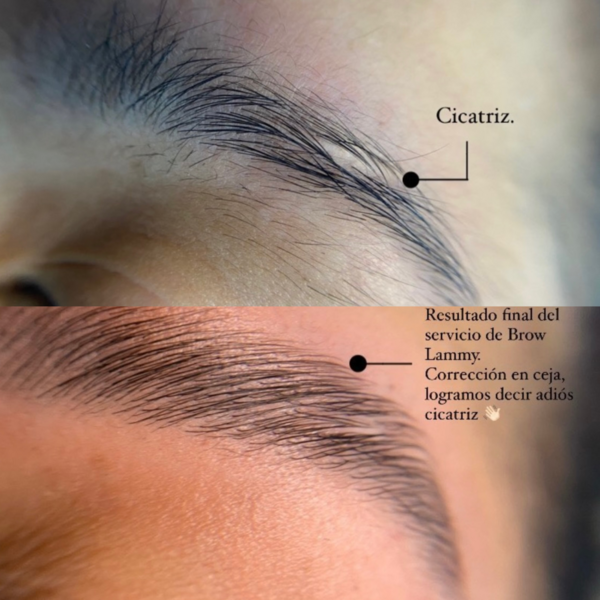 Corrección de cejas con técnica mixta Laminado