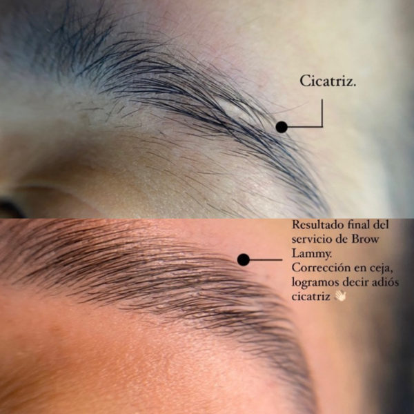 Corrección de cejas con técnica mixta Laminado+Tinte 