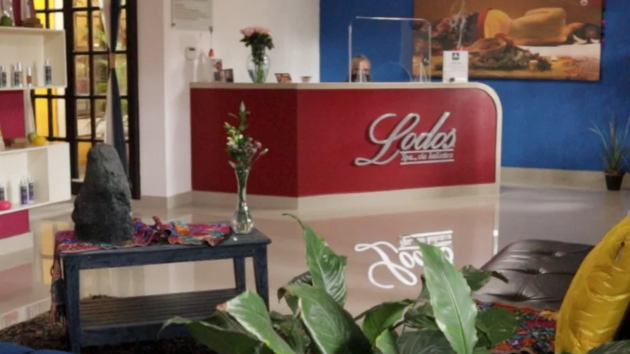 Lodos Spa banner
