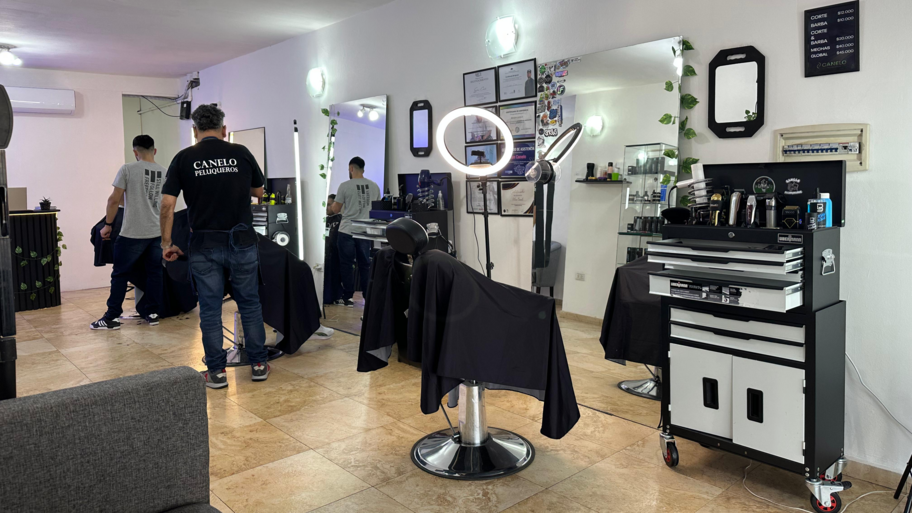 CANELO RUTA 20 interior