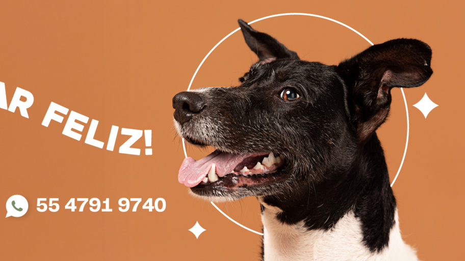 The park Coacalco banner