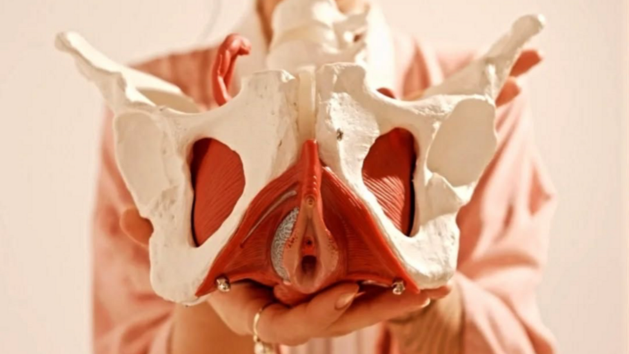 Rehabilita Center interior