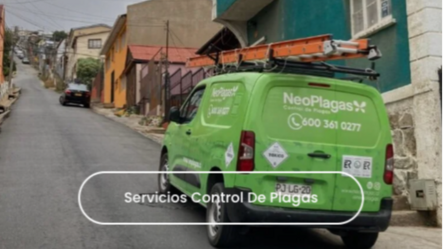 🏠 Servicios en menos de 24 hrs 🚨🐀🕷️🐛 banner