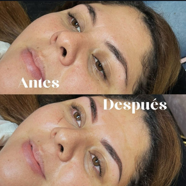 powder brows