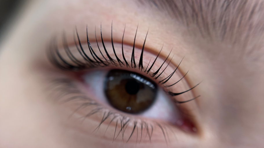 Francisca Gutiérrez banner