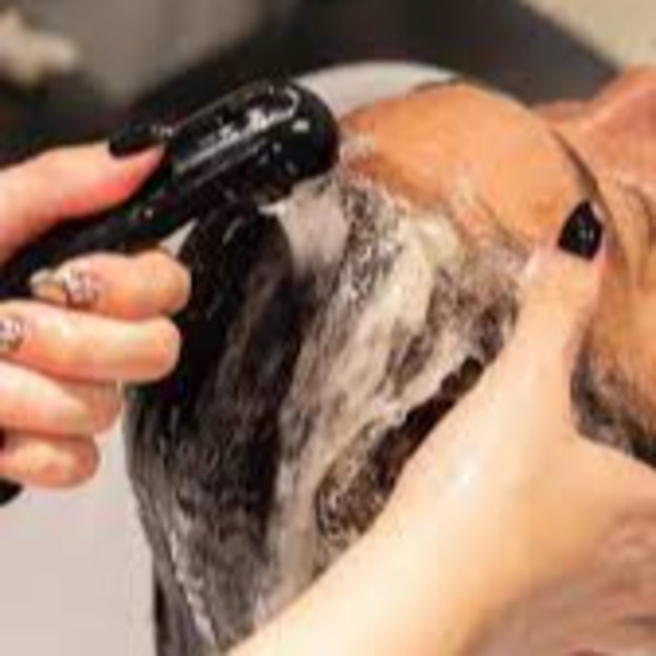 RITUAL LIMPIEZA PROFUNDA