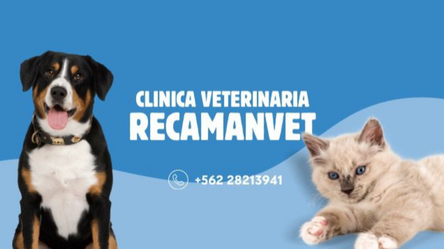 Dr. Patricio Recamán Morales  interior