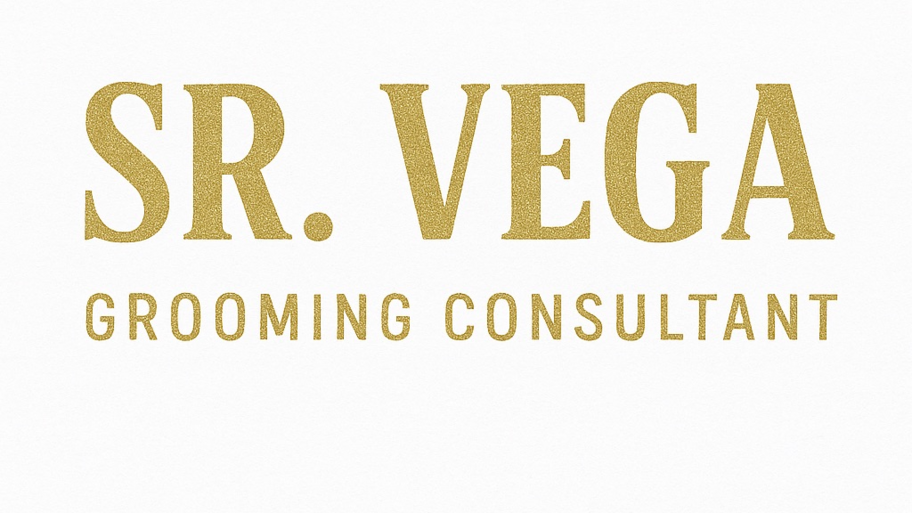 Studio de SR. VEGA. banner