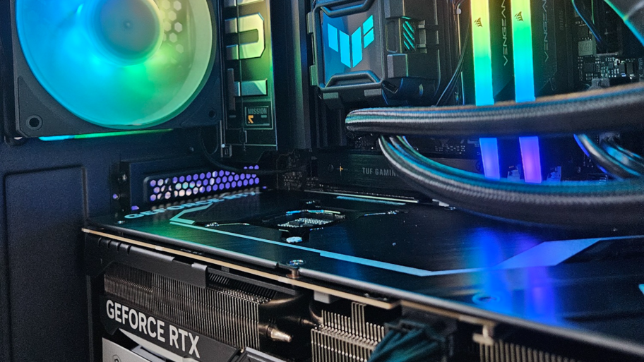 Simon Gonzalez interior