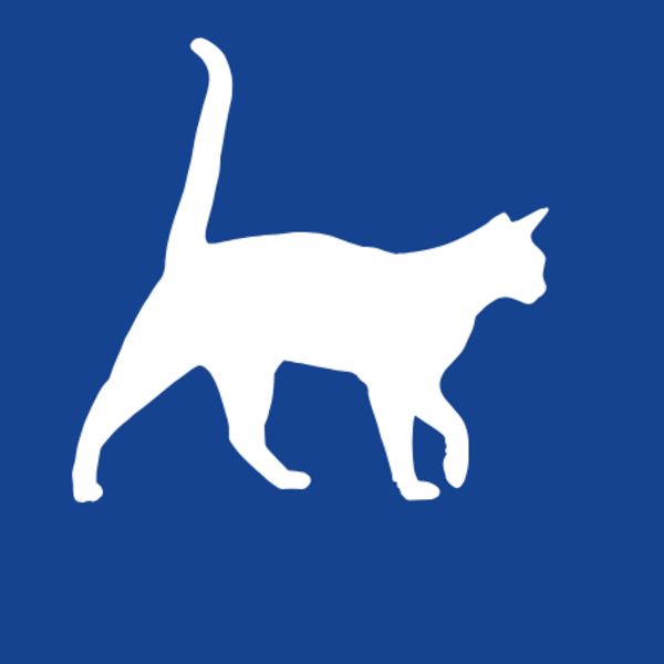 Consulta Medicina General Felino