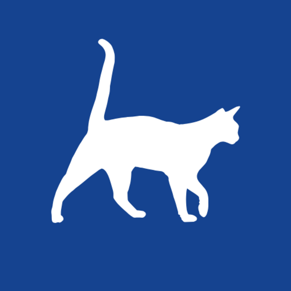 Control Medicina General Felino