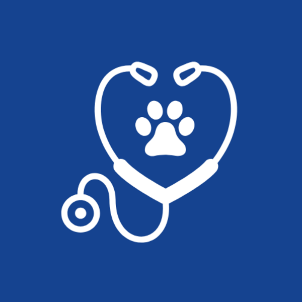 Control Medicina Interna Felino