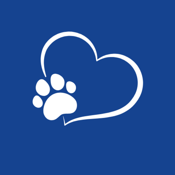 Consulta Cardiología Canino