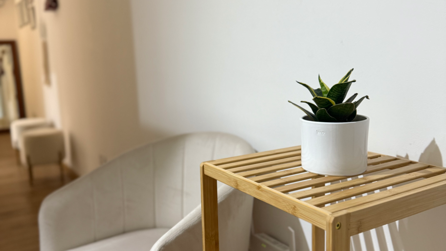 MYBeautyStudio interior