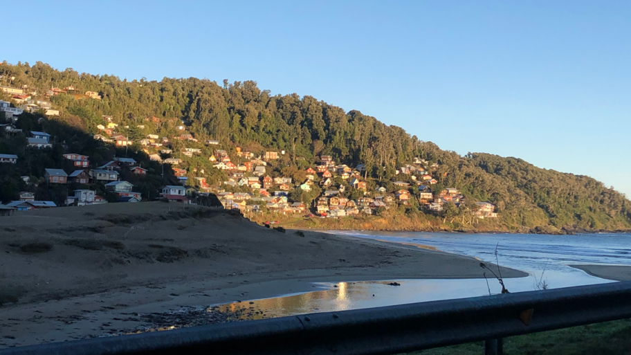 CONSULTA DRA. CAROLINA VEGA  banner