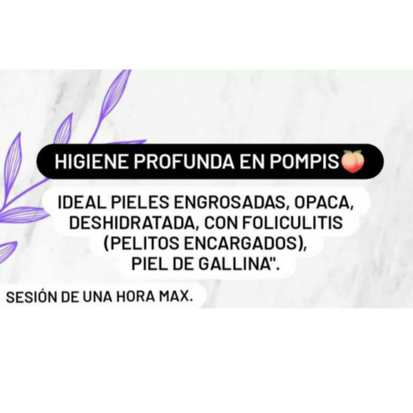 Higiene Profunda en Pompis