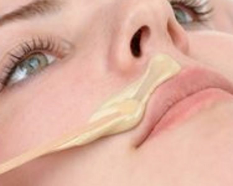 Bozo - Muzzle
