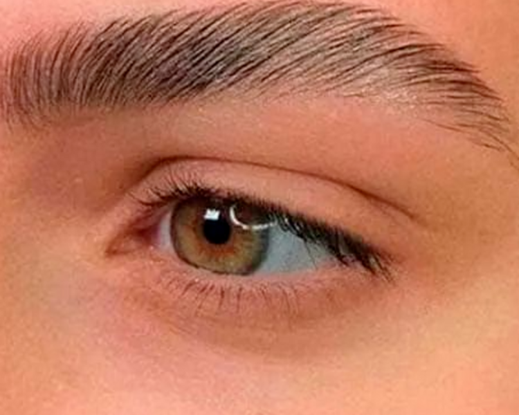 Planchado de Cejas - Eyebrows Ironing