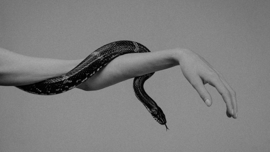 House of Rituals banner