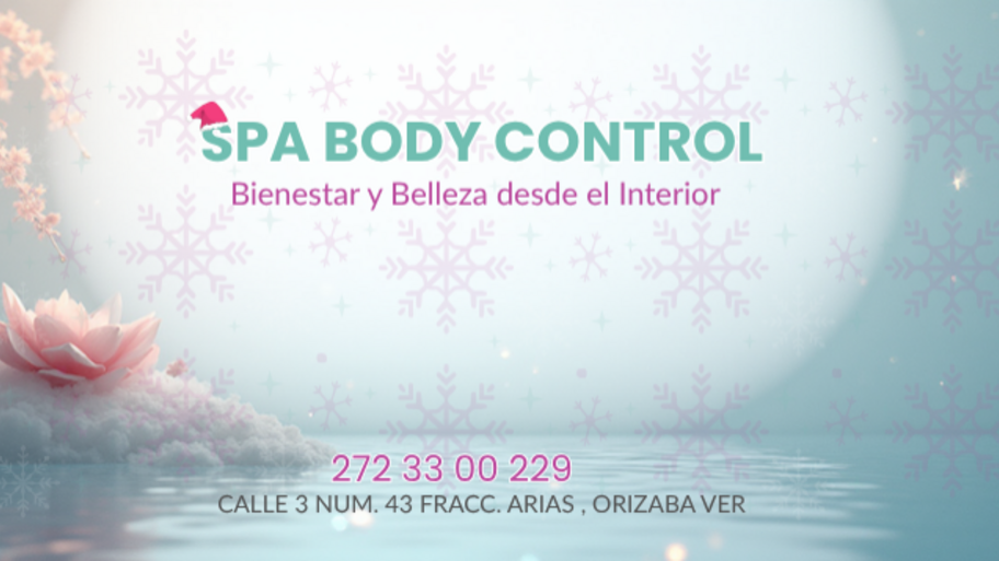 Spa Body Control banner