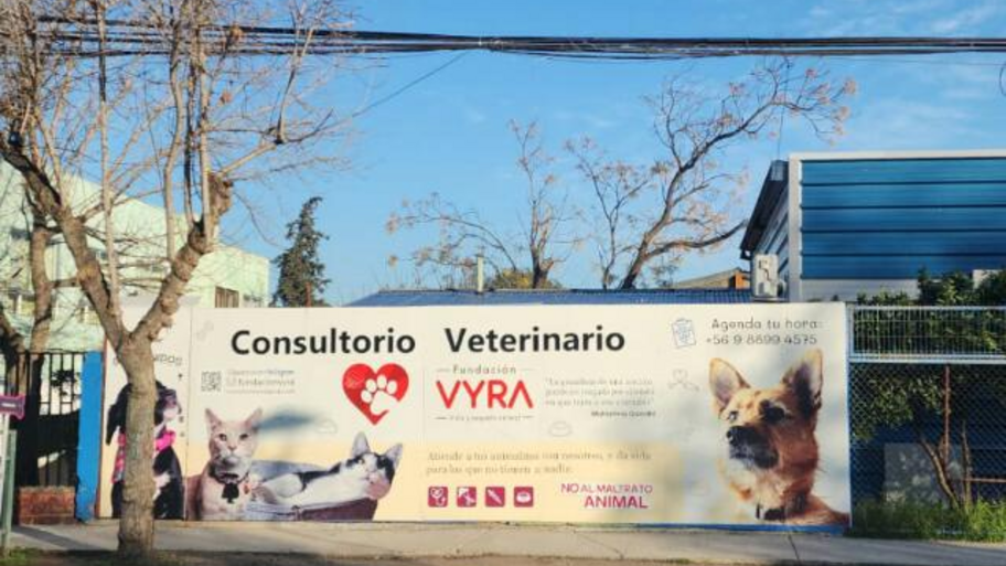 Consultorio VYRA interior