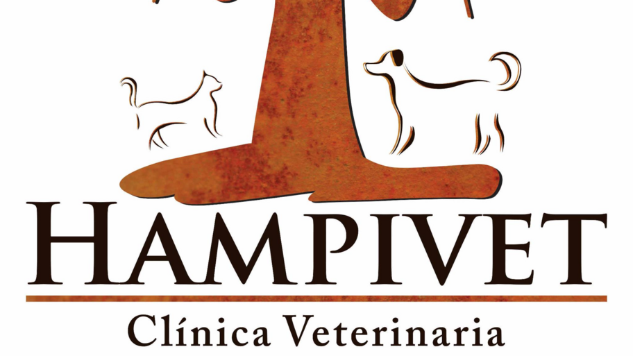 Clínica Veterinaria Hampivet banner