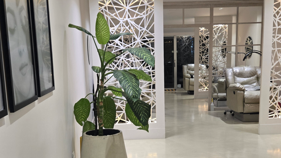 Violeta Lash | Medellin banner