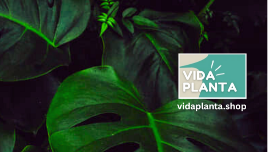VidaPlanta banner