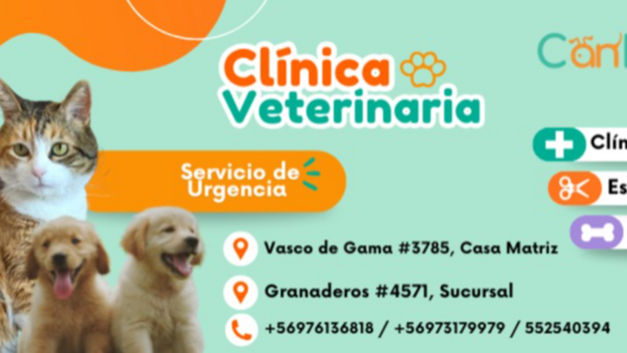 Veterinaria CanFel banner