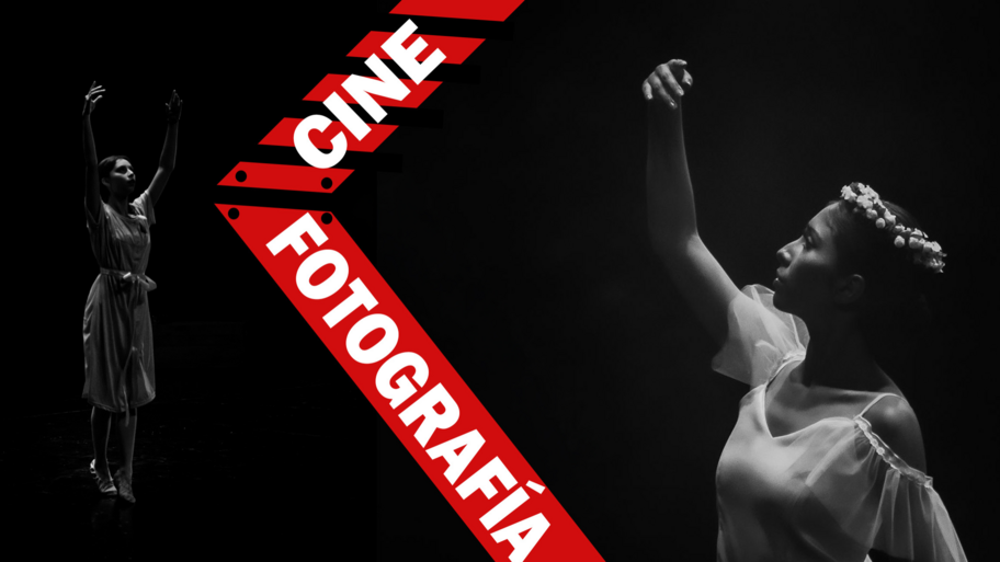 ESTUDIO DANNY CARRASCO interior