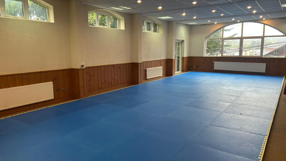 Salón de La Paz  banner