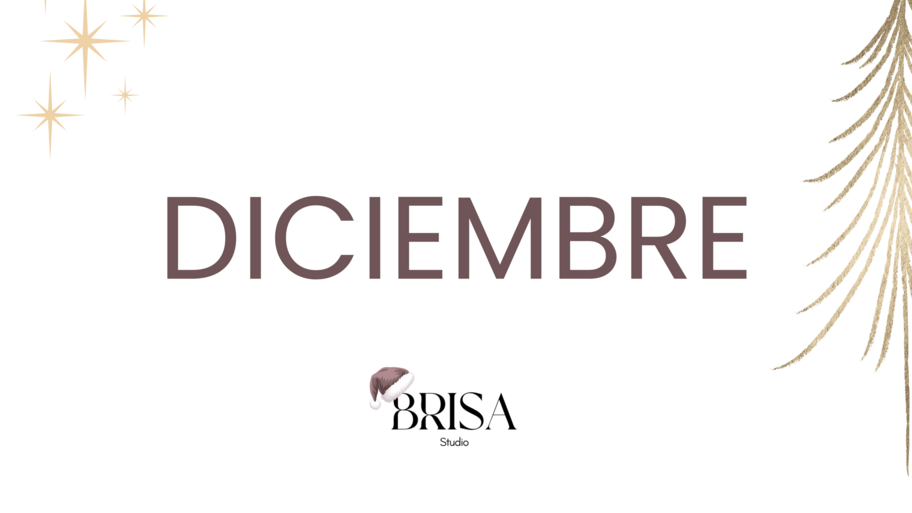  Brisa Studio banner