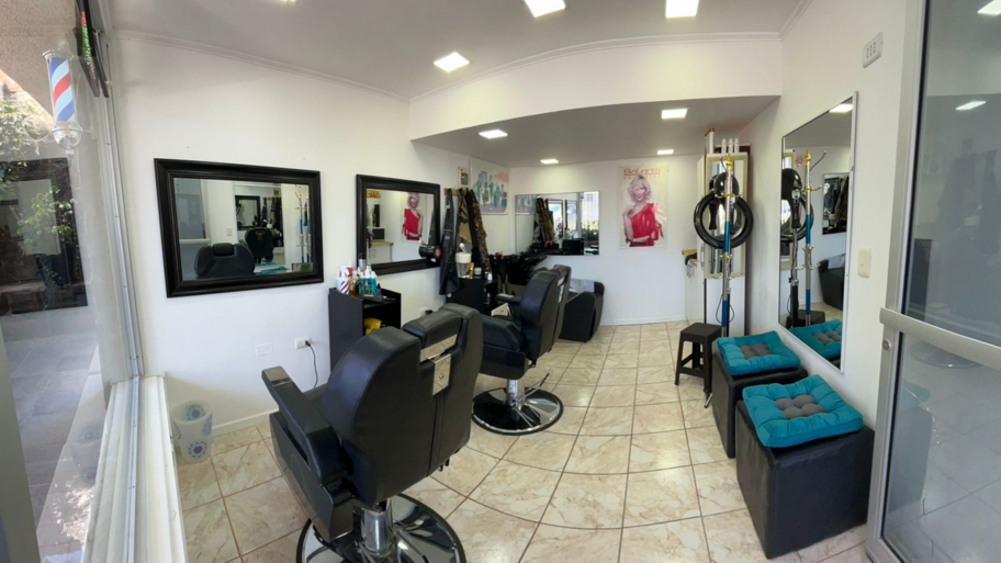 Studio Dorkas banner