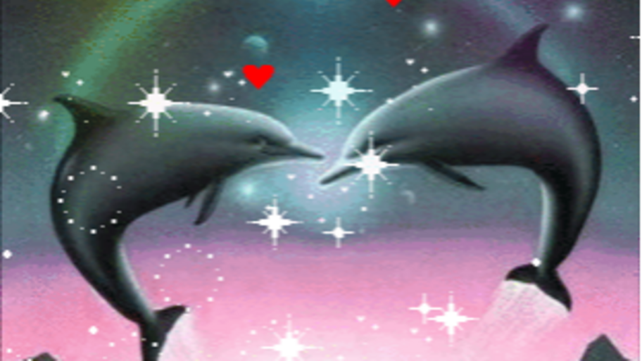 SIGO banner