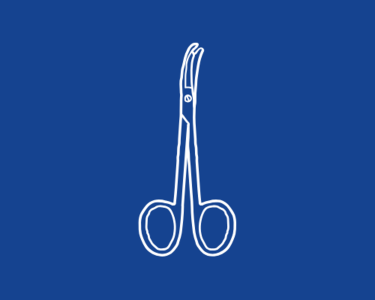 Retiro de puntos Felino