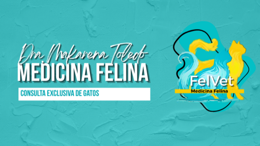 FelVet Medicina Felina banner